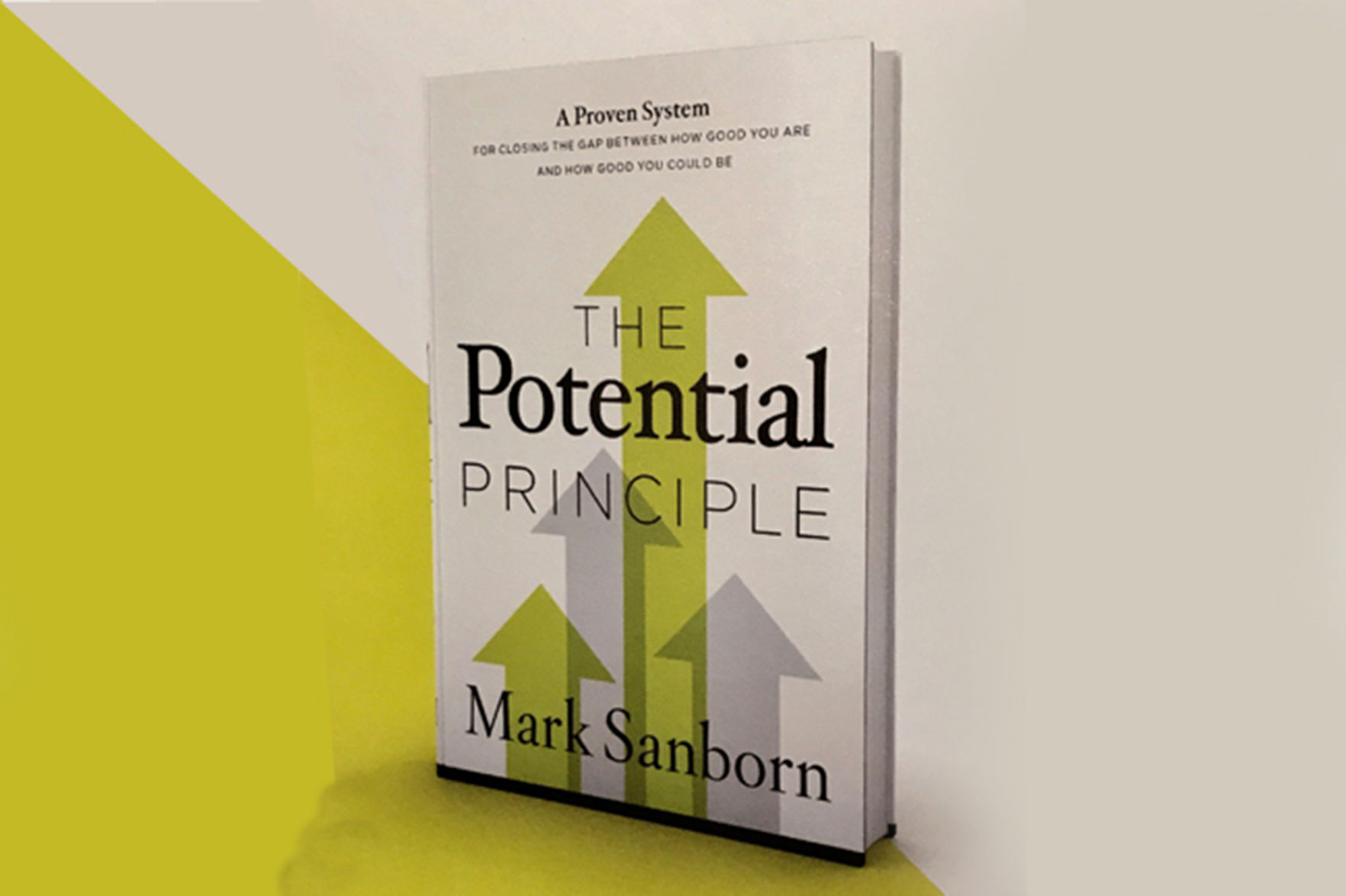 "The Potential Principle: A Proven System for Closing the Gap Between How Good You Are and How Good You Could Be" by Mark Sanborn (Thomas Nelson, $16.95)